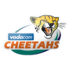 Cheetahs.png