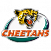 Cheetahs 3d.png