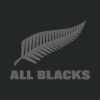 New Zealand kit home.png