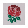 England badge.png