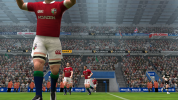 lions2.png