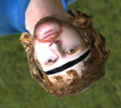 Screenshot (998).png